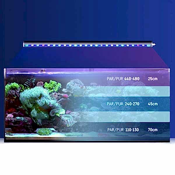 Reef Factory - Reef Flare Bar M 90 cm Black