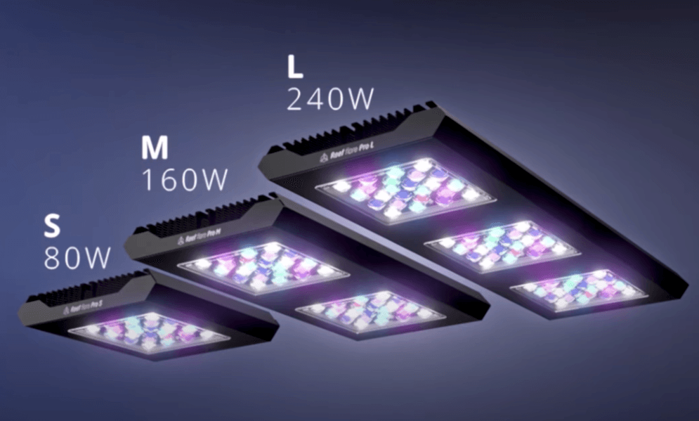 Reef Factory - Reef Flare PRO M Blue Black