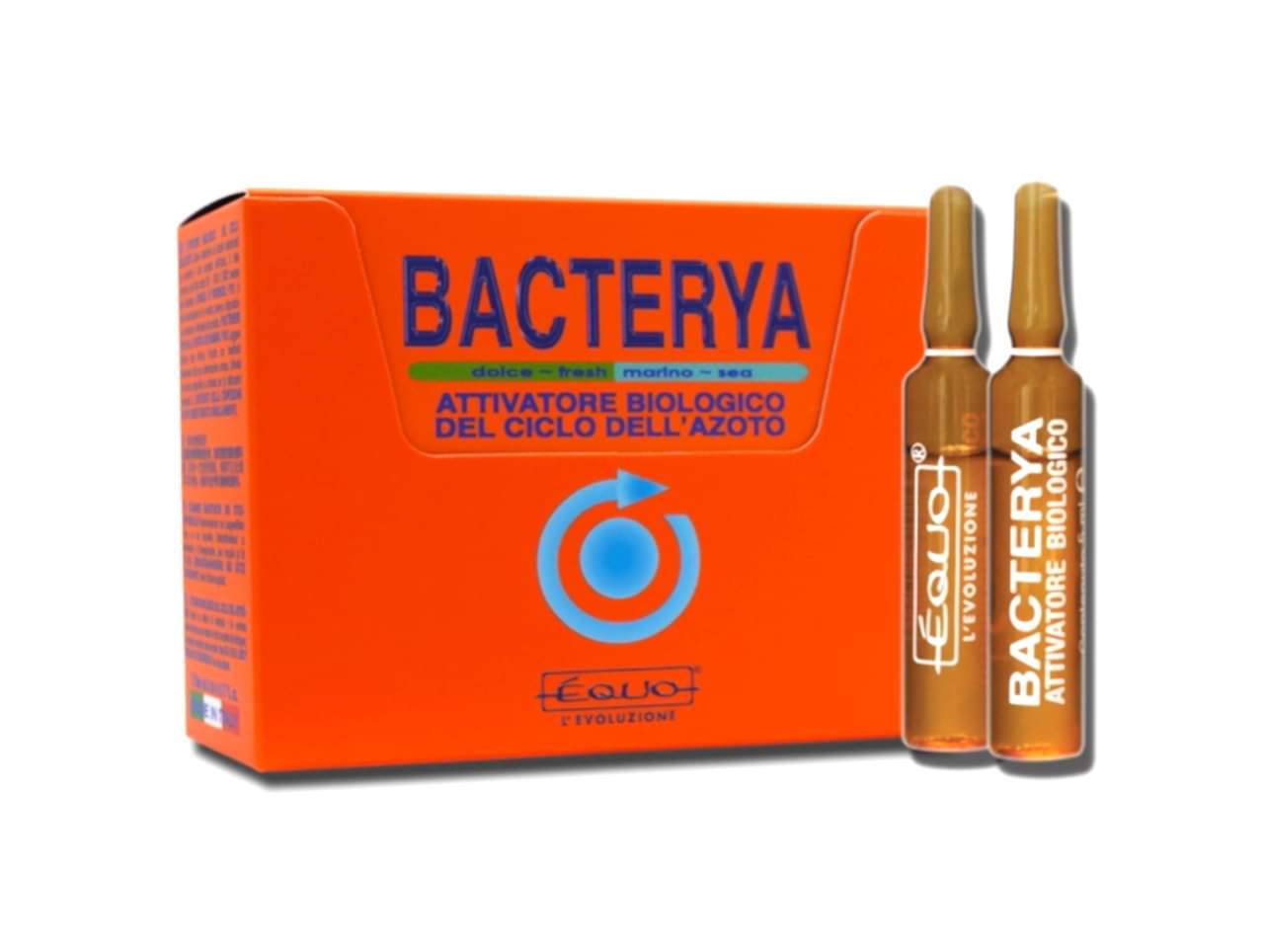 Bacterya- 24