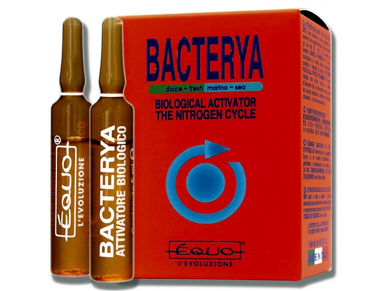 Bacterya -6