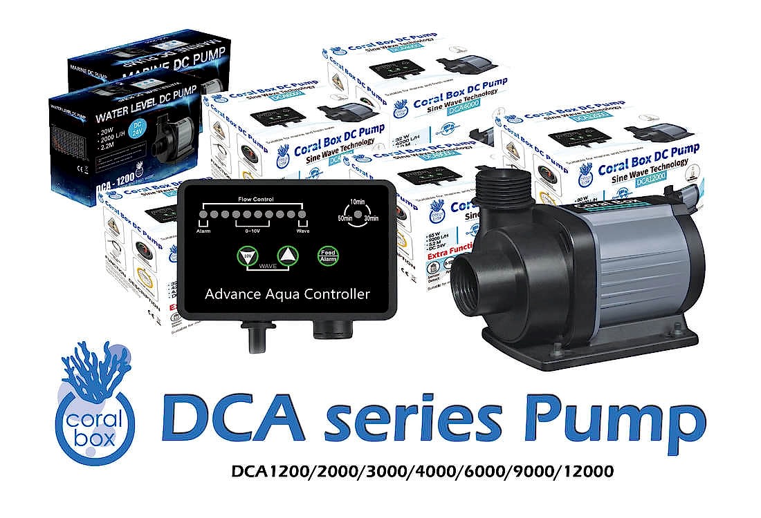 Coral Box - DCA 2000