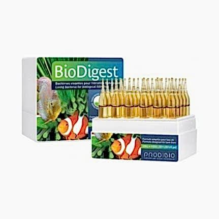 PRODIBIO - Biodigest 12 ampül