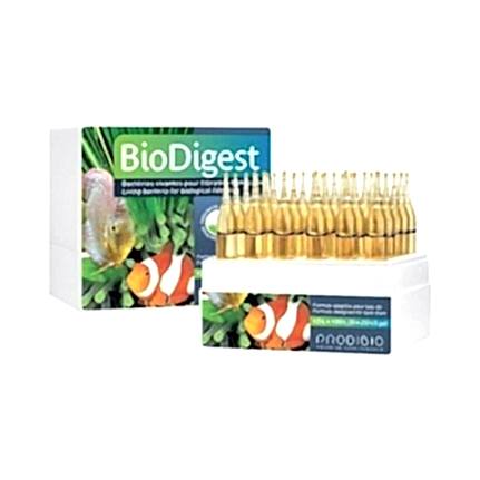 PRODIBIO - Biodigest 30 ampül