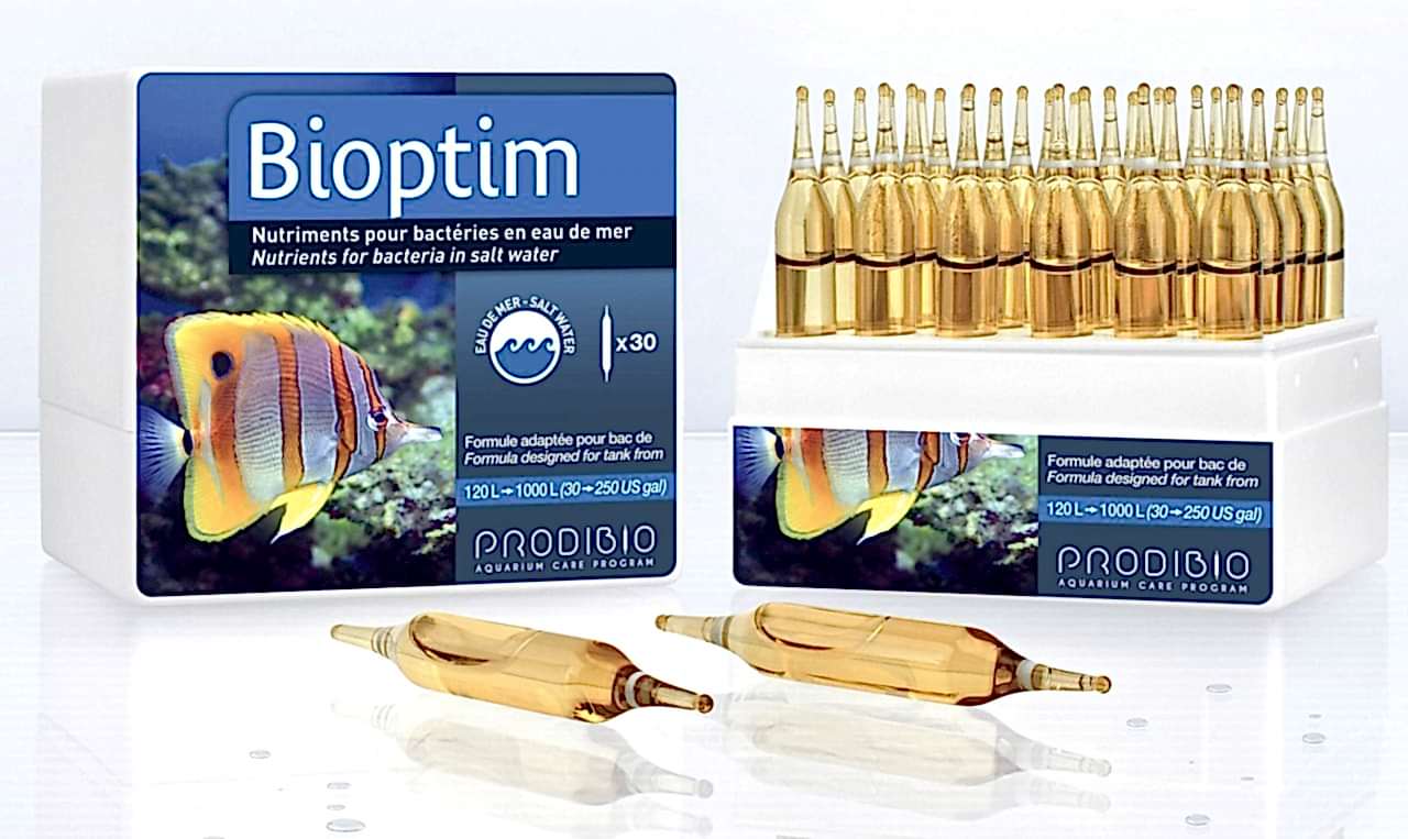 PRODIBIO - Bioptim 30 ampül