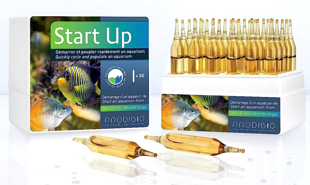 PRODIBIO - Start Up 12 Ampül